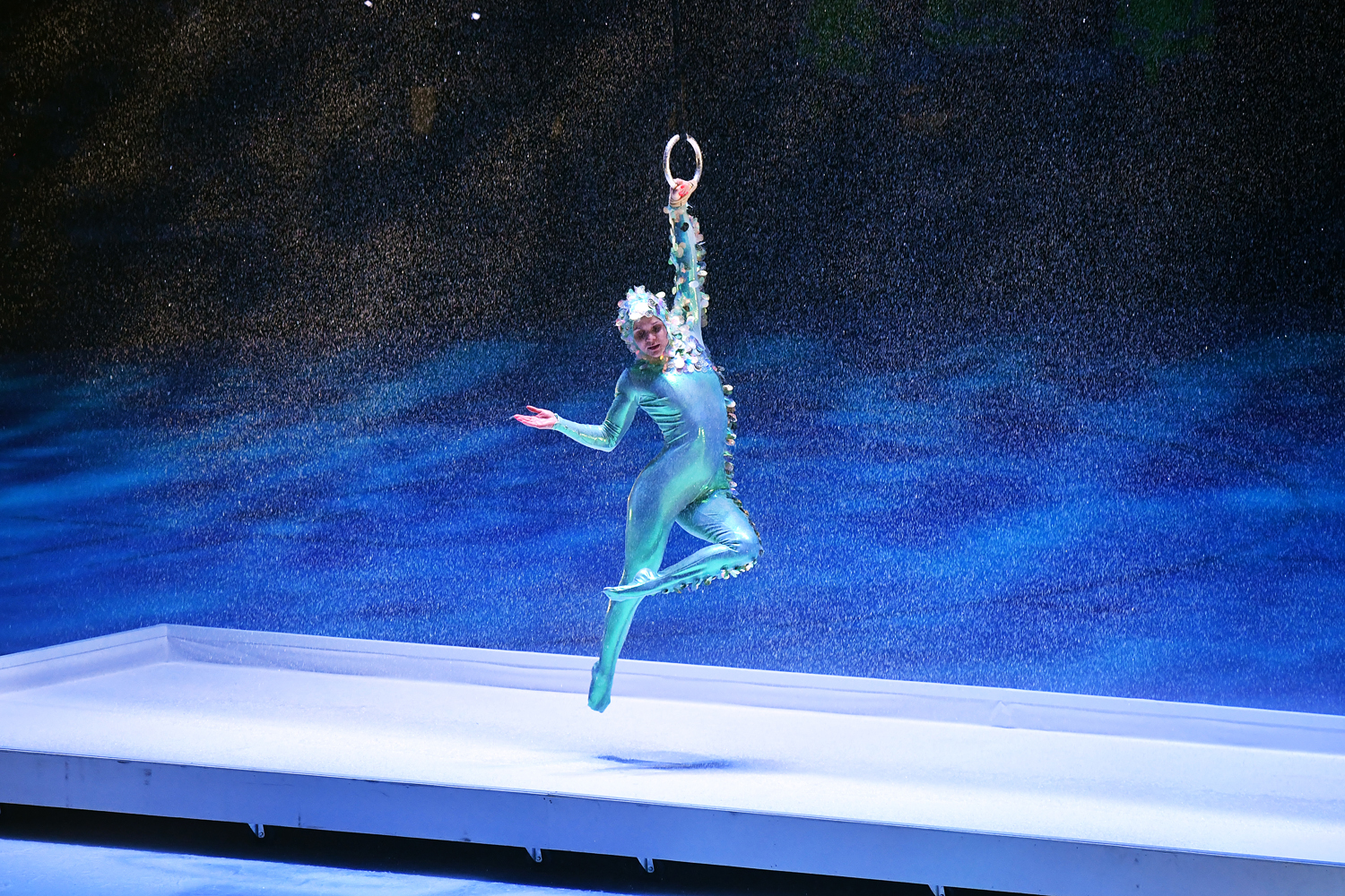 gallery-photo