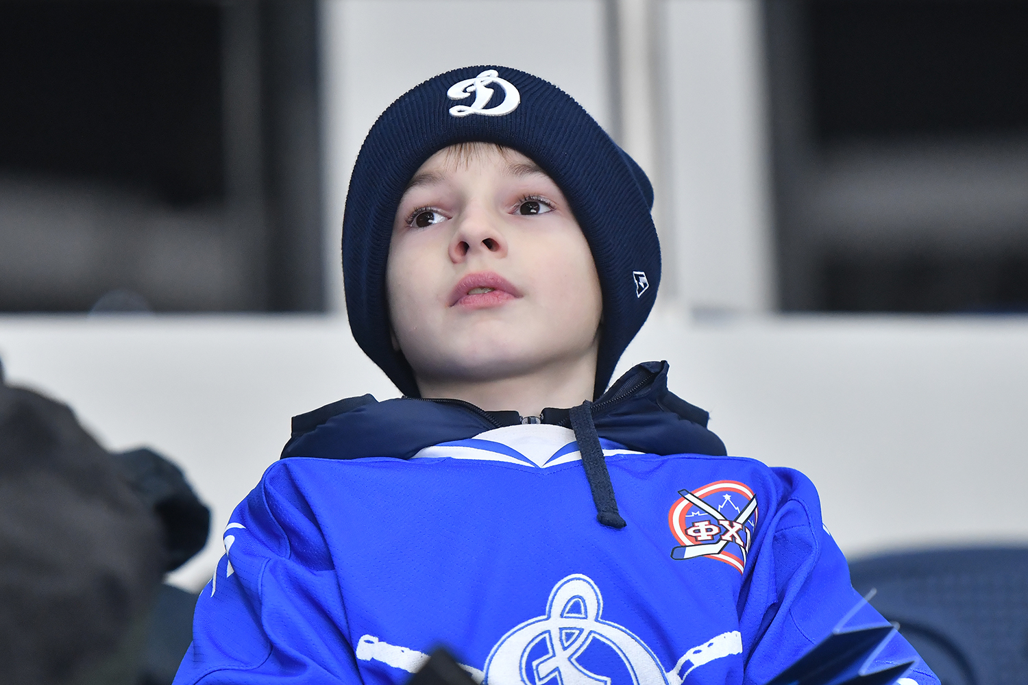 gallery-photo