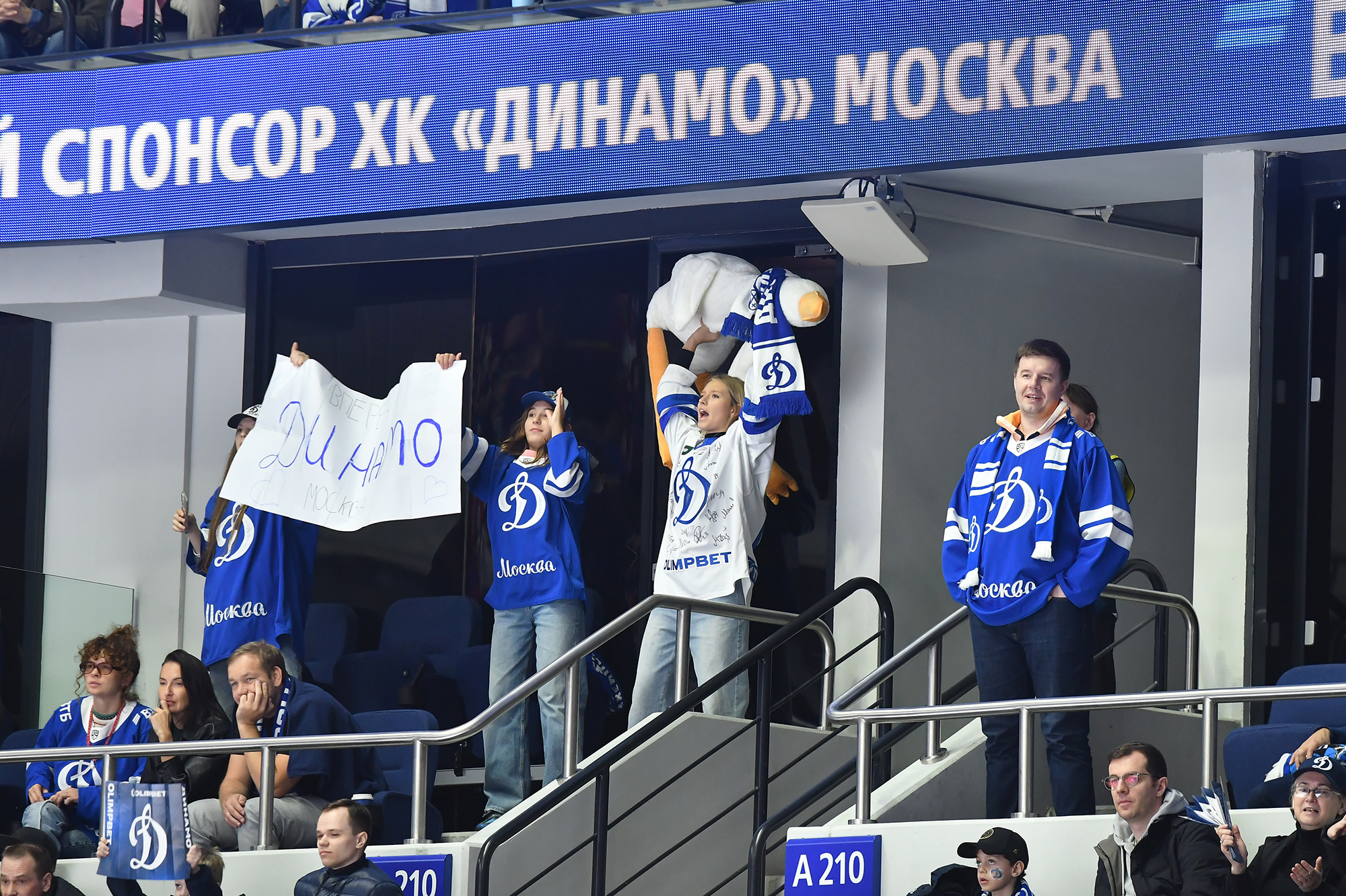 gallery-photo