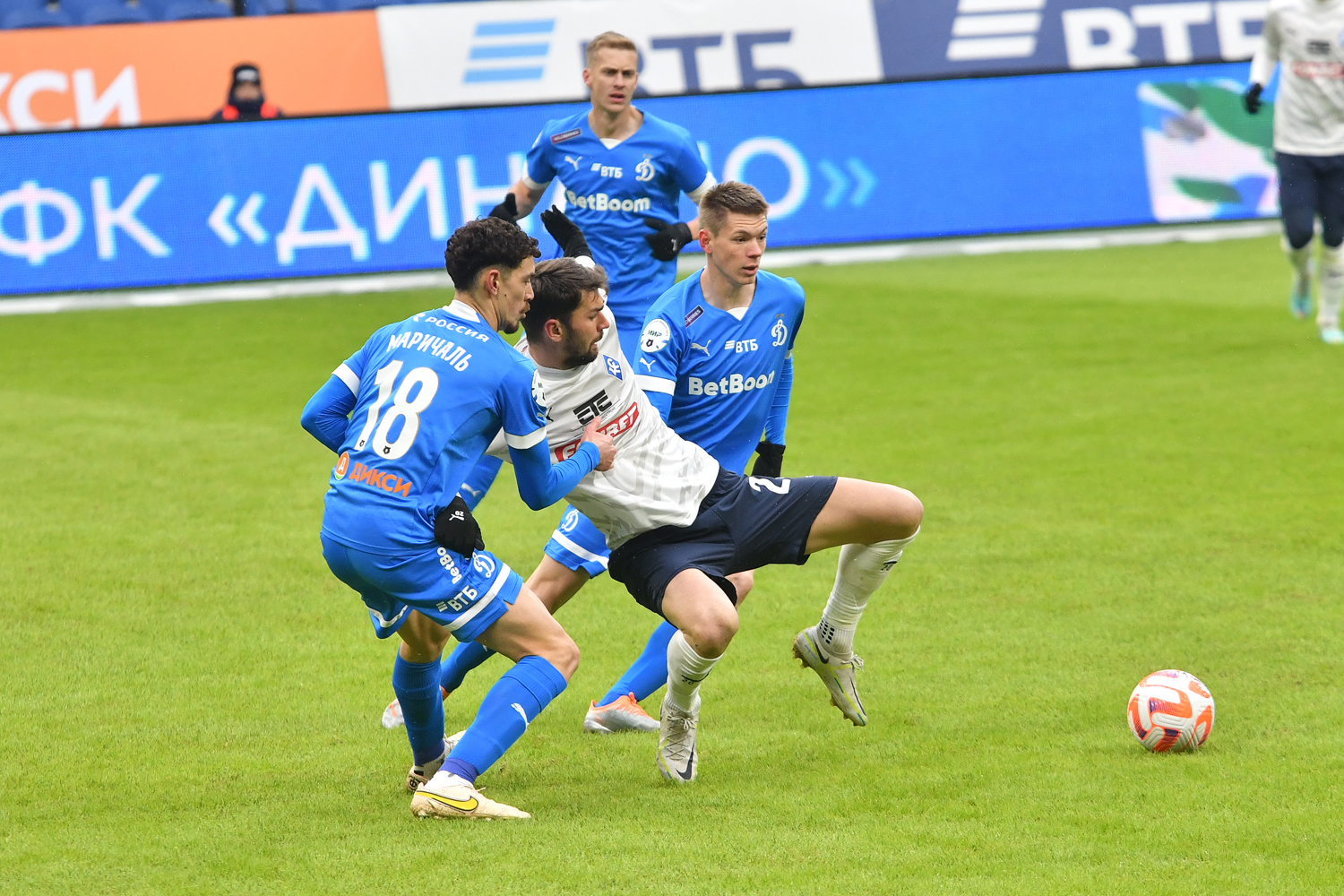 gallery-photo