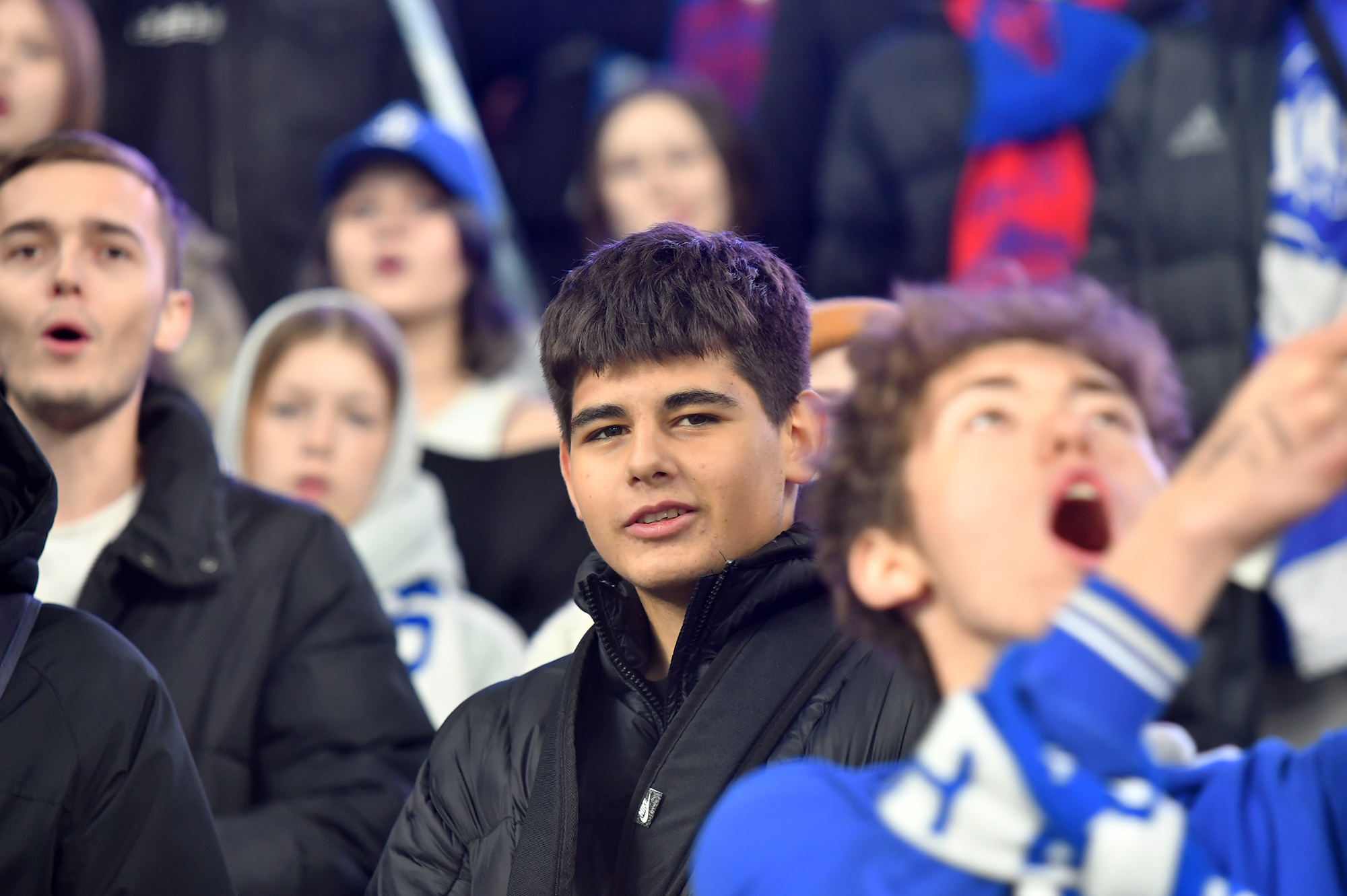 gallery-photo