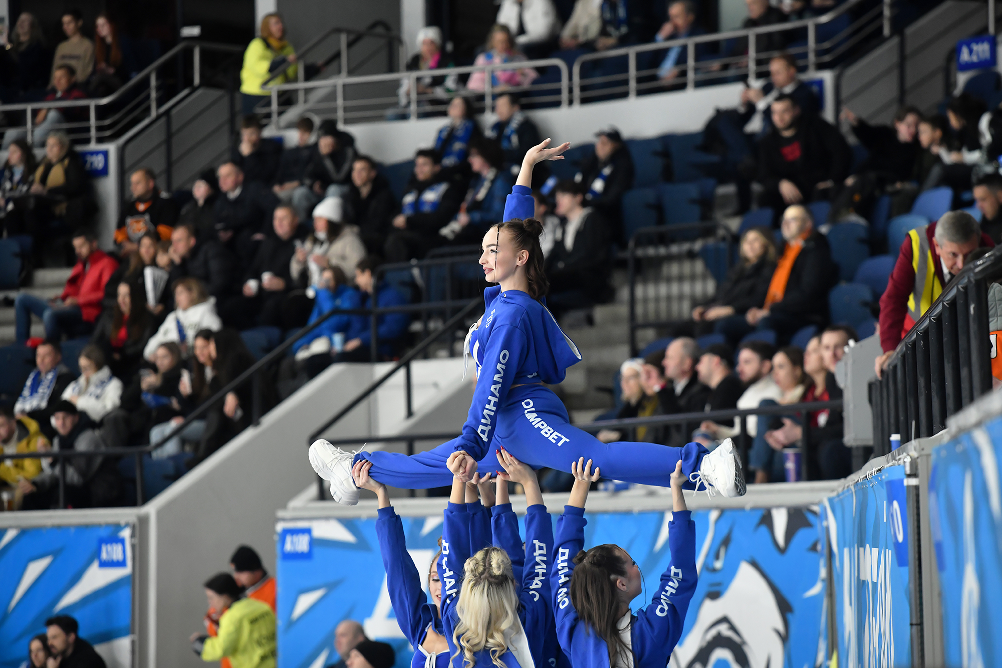 gallery-photo