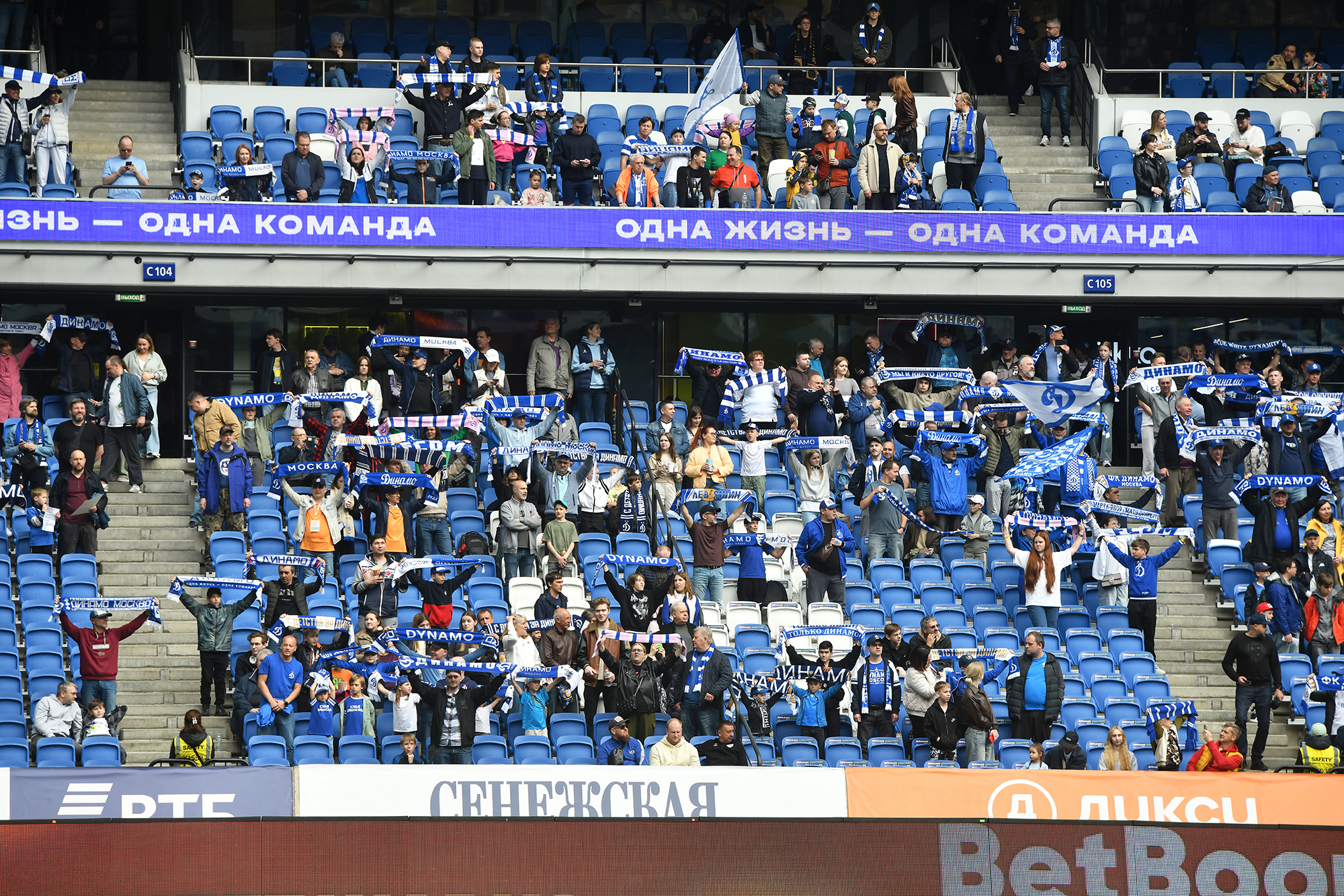 gallery-photo