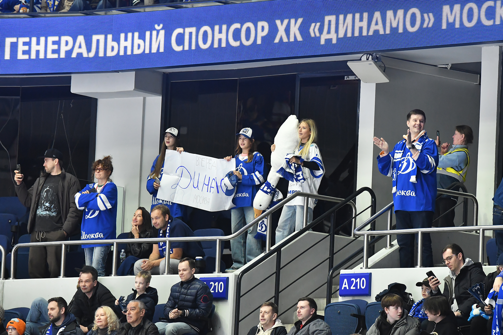 gallery-photo