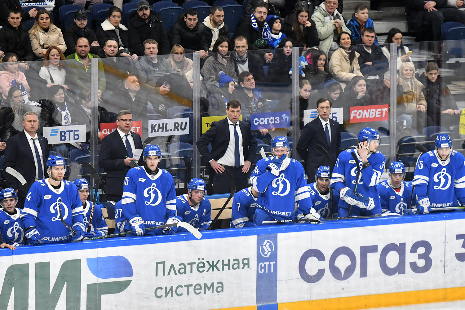 gallery-photo