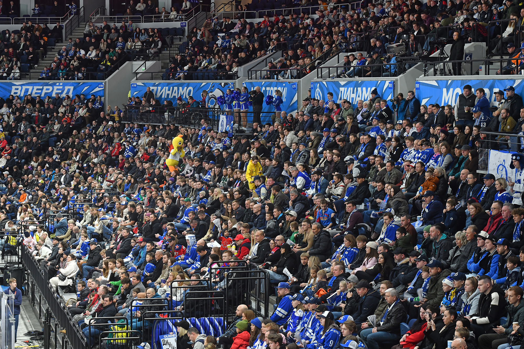 gallery-photo